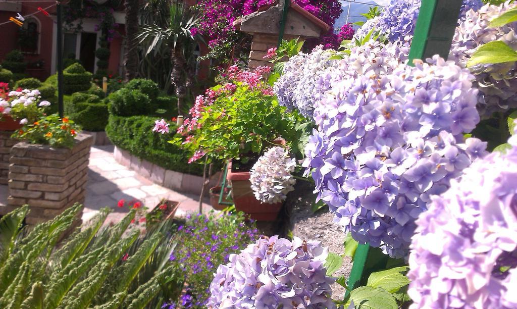Apartment City Garden Kotor Kamer foto
